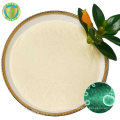 Probiotics High Quality Lactobacillus Rhamnosus Natural White Food Health Powder